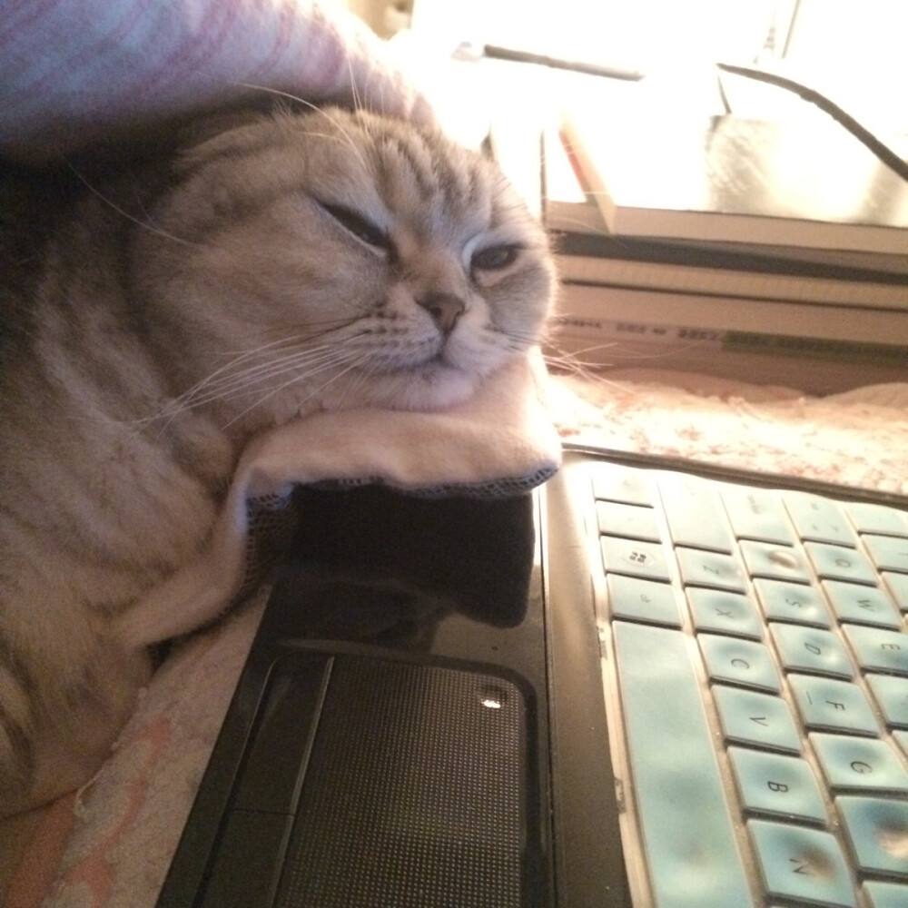 Tired (what is the reason for fatigue, lack of energy and easy fatigue)